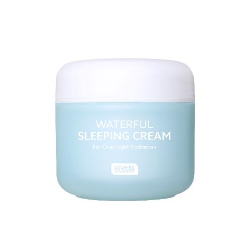 Crema Caracol Waterful Sleeping Cream 60ml